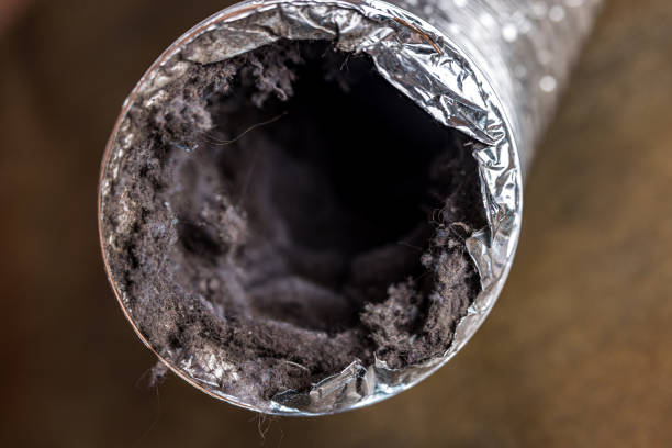 Best Air Duct Cleaning Near Me  in Wescosville, PA